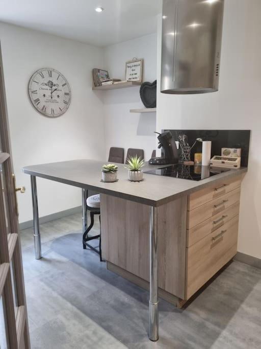 L'Ourse, Epinal,Tres Bel Appartement Quartier Port Ngoại thất bức ảnh