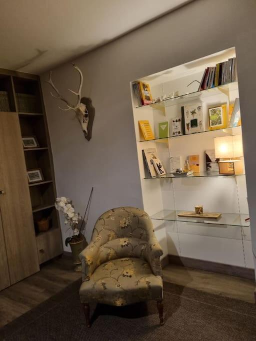L'Ourse, Epinal,Tres Bel Appartement Quartier Port Ngoại thất bức ảnh